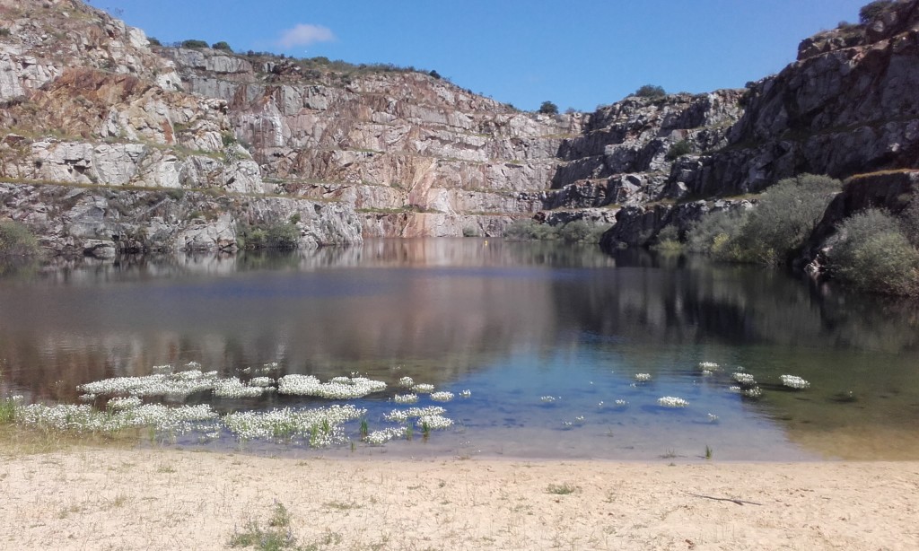 Alcántara