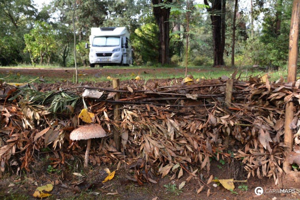 cueillette en camping-car
