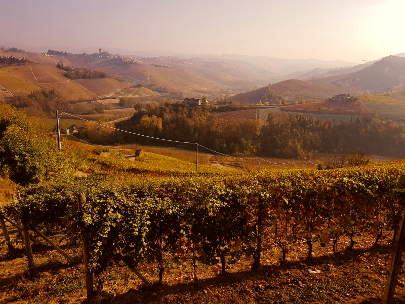 Langhe in camper