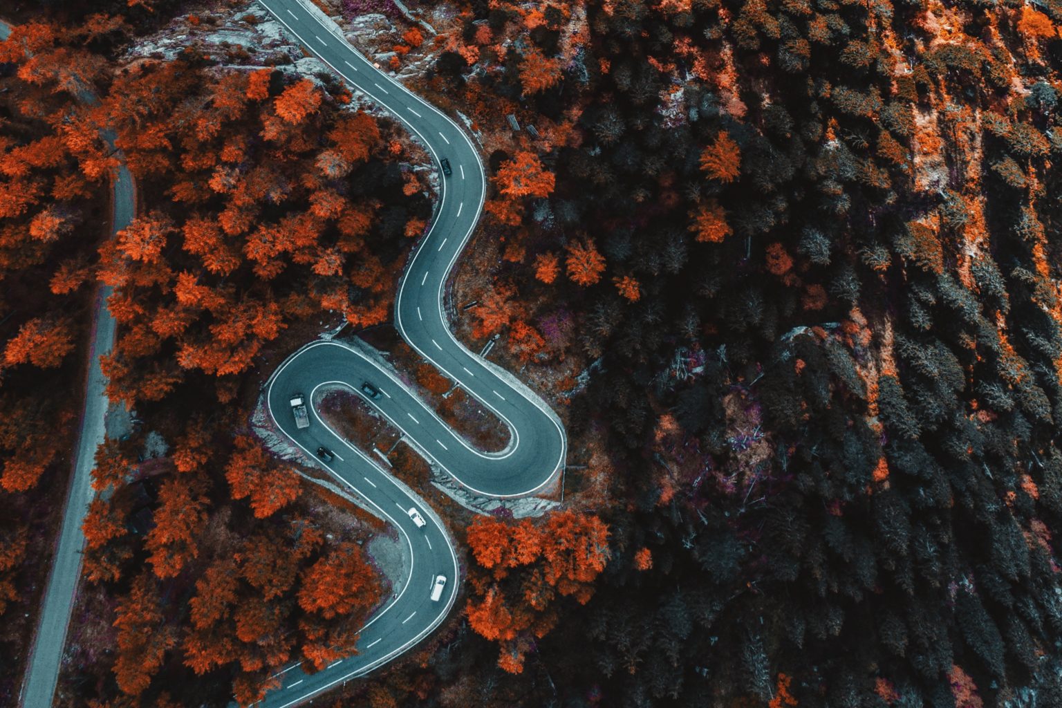 Winding mountain road with cars surrounded by vibrant autumn foliage, creating a scenic and adventurous atmosphere.