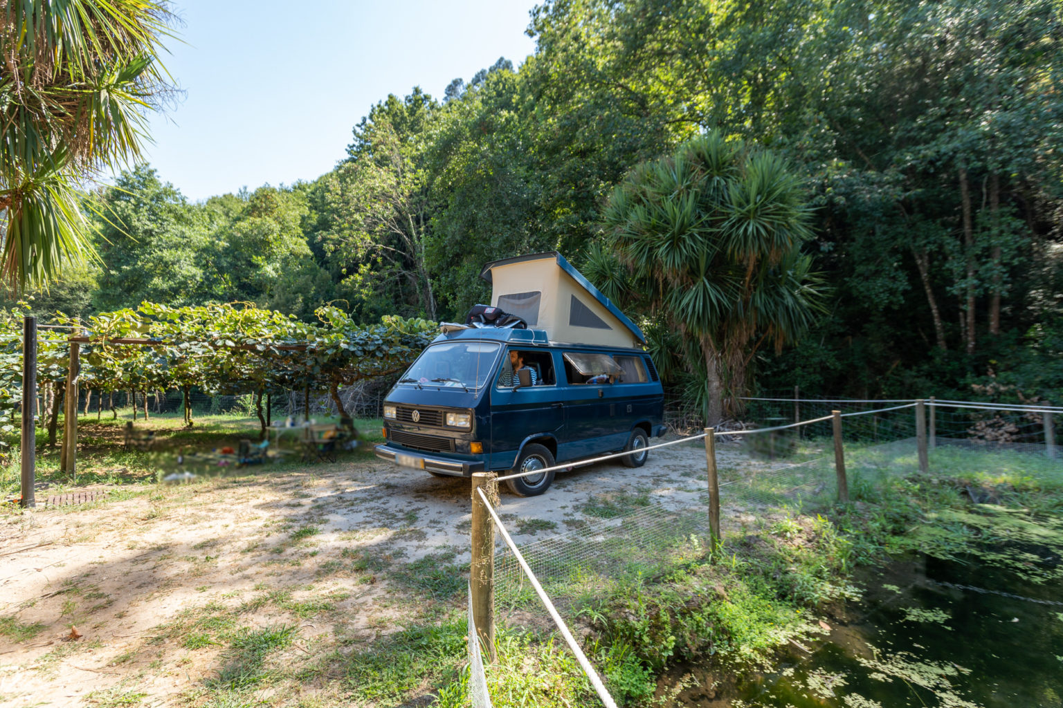 Autocaravana azul estacionada junto a un bosque frondoso y un pequeño estanque, rodeada de naturaleza.