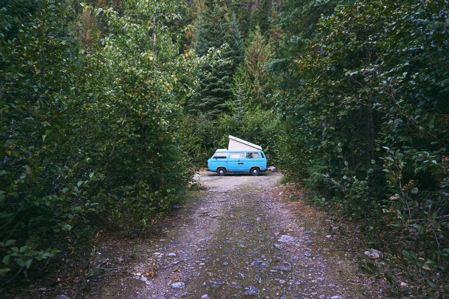 Blue campervan parked on a forest trail surrounded by lush greenery, creating a serene and adventurous atmosphere.