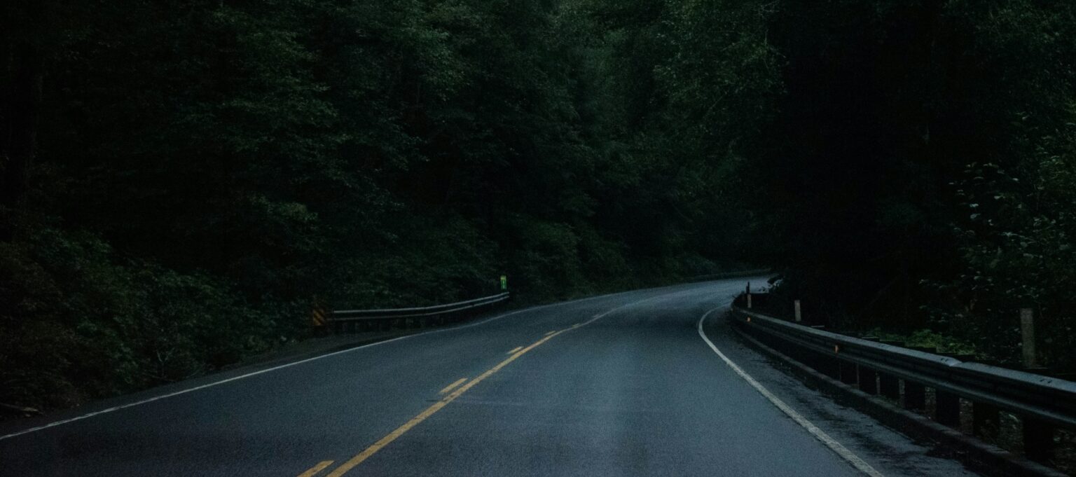 Curving forest road at dusk, surrounded by dense trees, creating a serene and mysterious atmosphere.