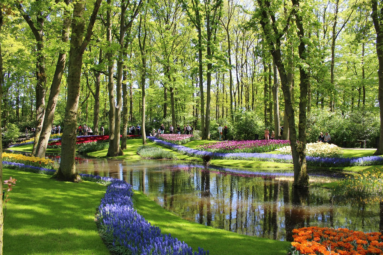 Parc floral à Keukenhof, Pays-Bas
