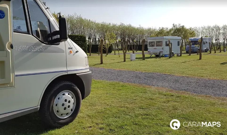 Camping avec emplacements pour camping-cars sur pelouse arborée en Belgique.