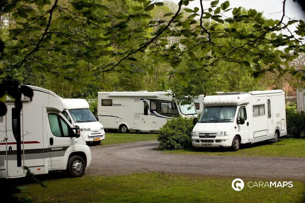 Camping calme et verdoyant accueillant plusieurs camping-cars sur des emplacements spacieux en pleine nature belge.