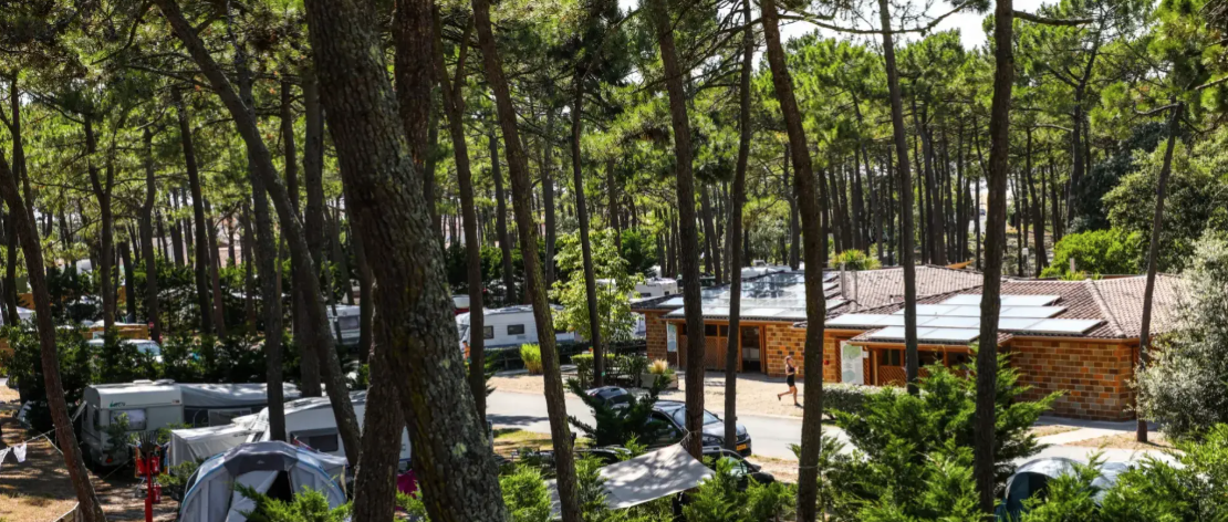 Emplacements pour camping-car et van dans un camping au milieu des pins.