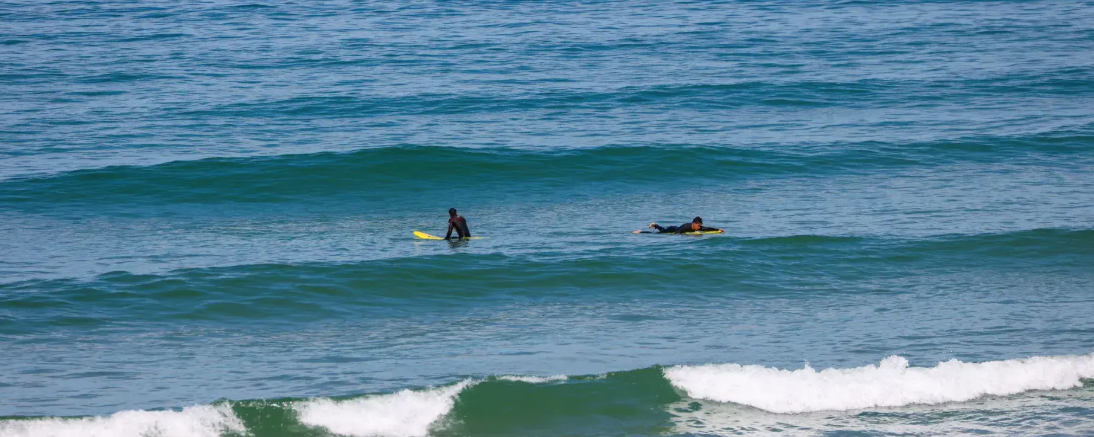 Surfeurs qui attendent la vague dans l'océan.