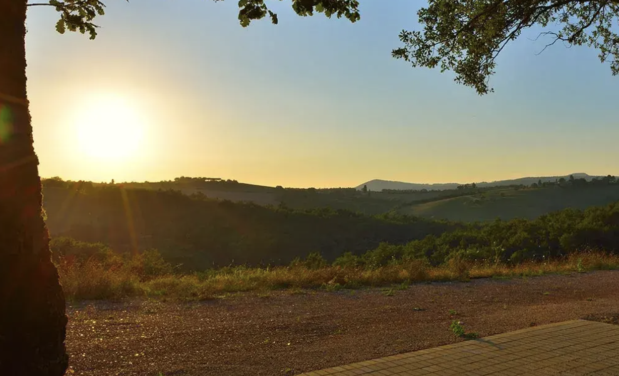 Agriturismo nel cuore della Toscana, circondato da dolci colline, paesaggi rurali e natura incontaminata.
